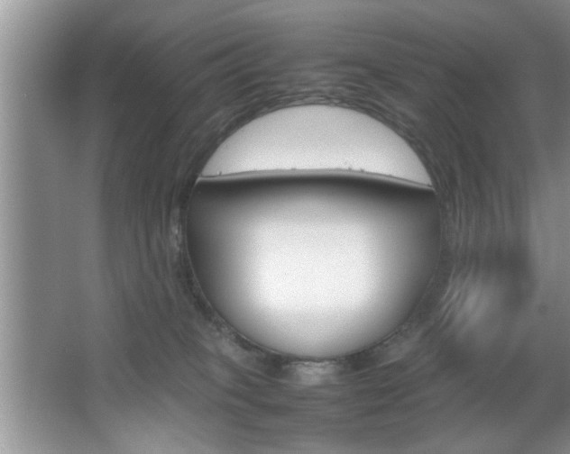 X0000067870085200604131026