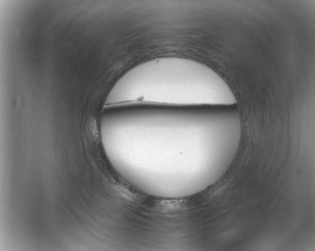 X0000067870089200604131026