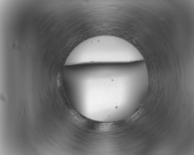 X0000067870090200604131026