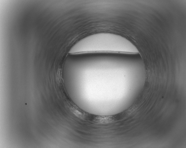 X0000067870093200604131026