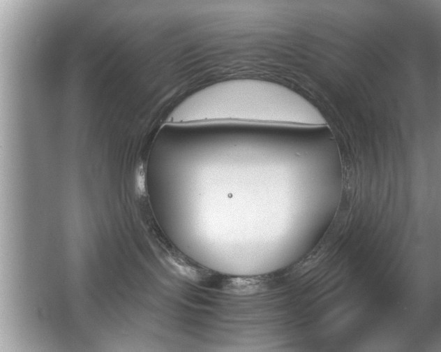 X0000067870095200604131026