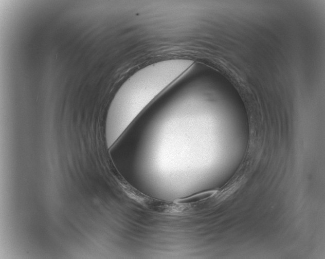 X0000067870096200604131026