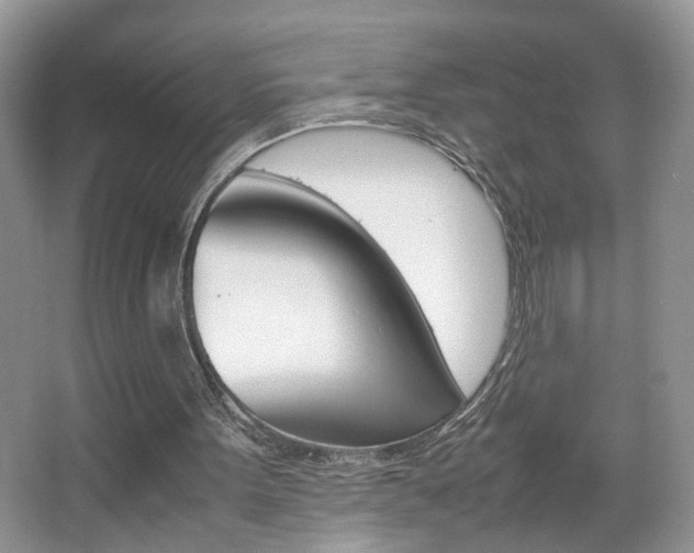 X0000067870099200604131025