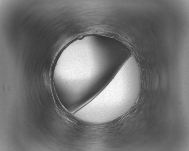 X0000067870100200604131025