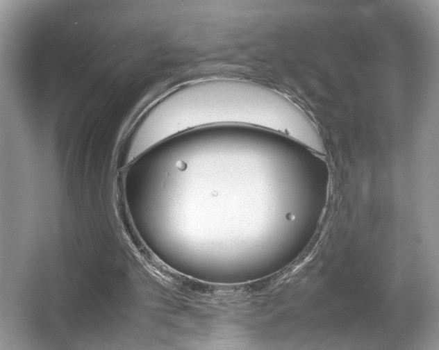 X0000067870101200604131025