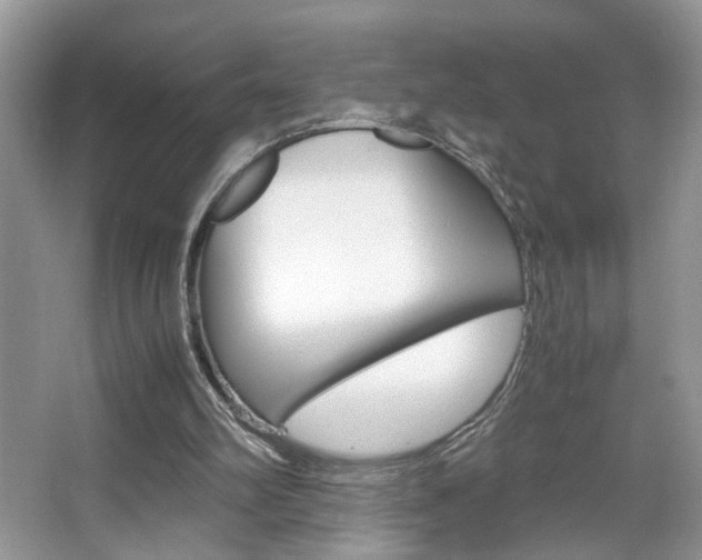 X0000067870102200604131025