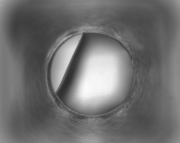 X0000067870103200604131025