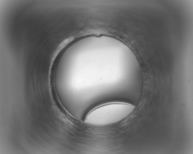 X0000067870104200604131025