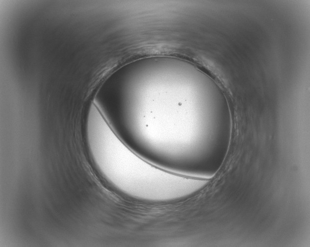 X0000067870105200604131025