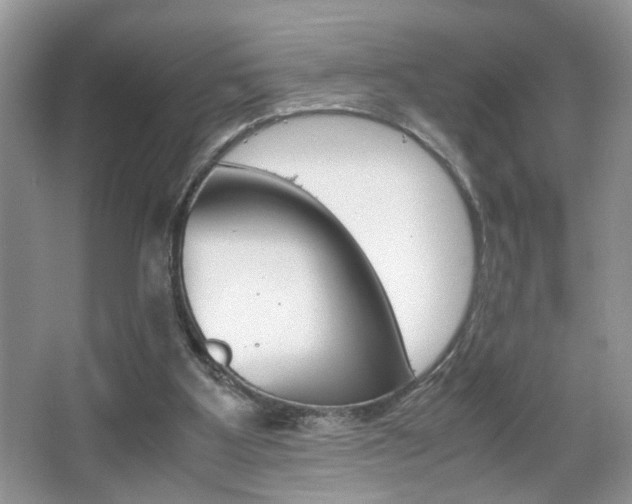 X0000067870107200604131025