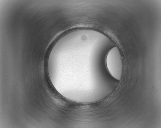 X0000067870108200604131025