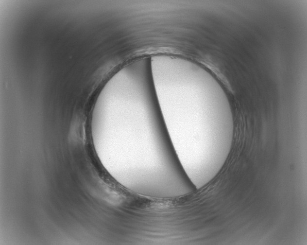 X0000067870110200604131025