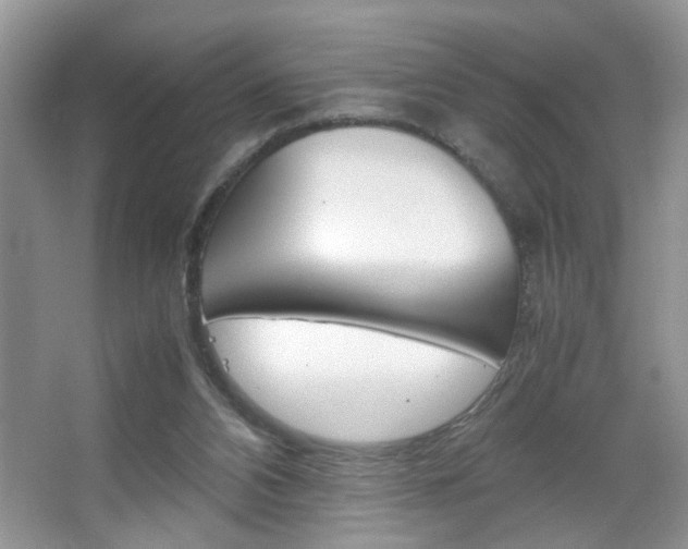 X0000067870112200604131025