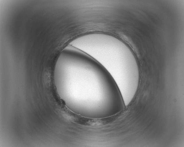 X0000067870113200604131025