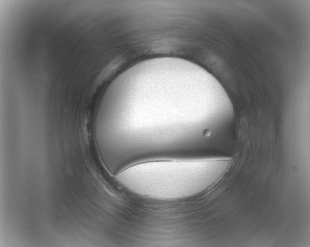 X0000067870116200604131025