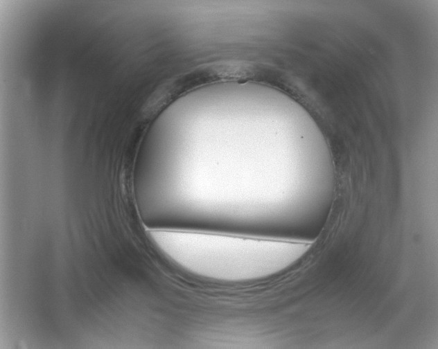 X0000067870117200604131025