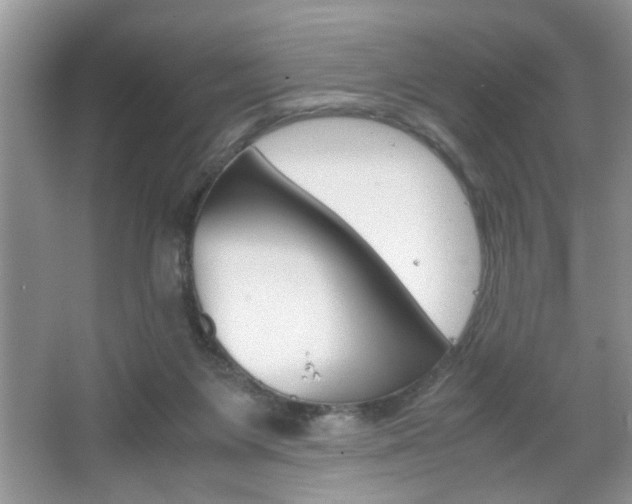 X0000067870119200604131025