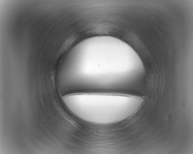 X0000067870120200604131025