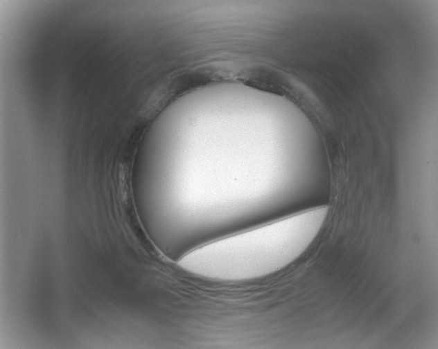 X0000067870121200604131025