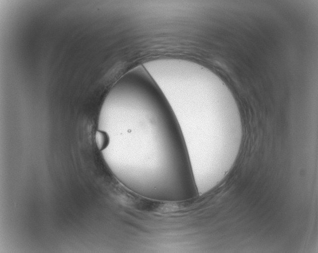 X0000067870123200604131025