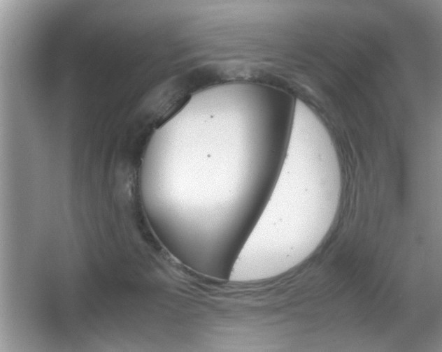 X0000067870125200604131025