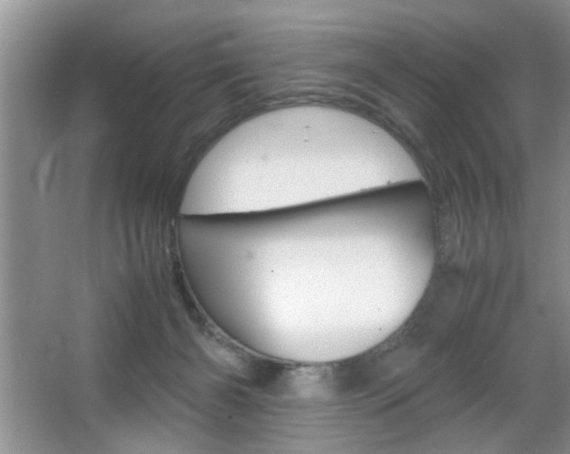 X0000067870126200604131025