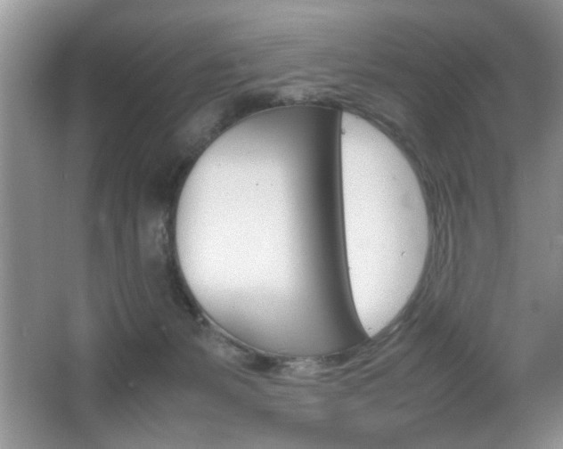 X0000067870127200604131025