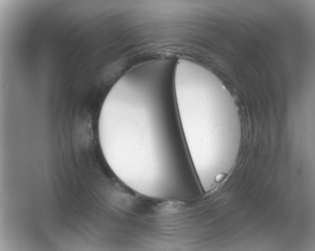 X0000067870128200604131024