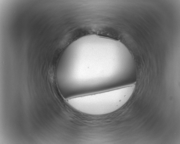 X0000067870129200604131024