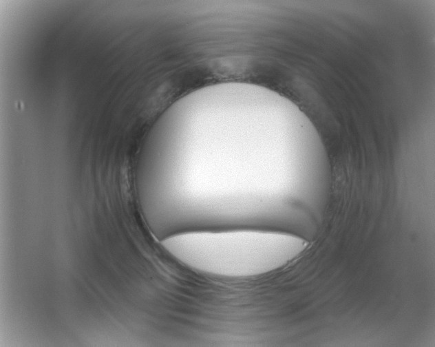 X0000067870130200604131024