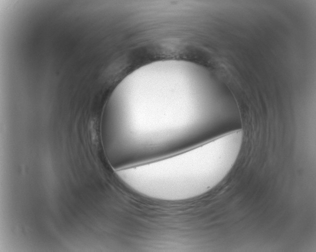 X0000067870131200604131024