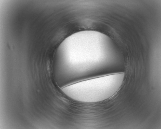 X0000067870132200604131024