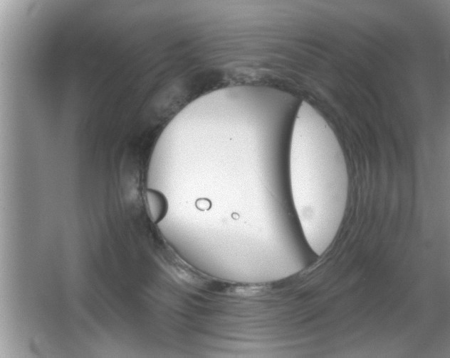 X0000067870134200604131024