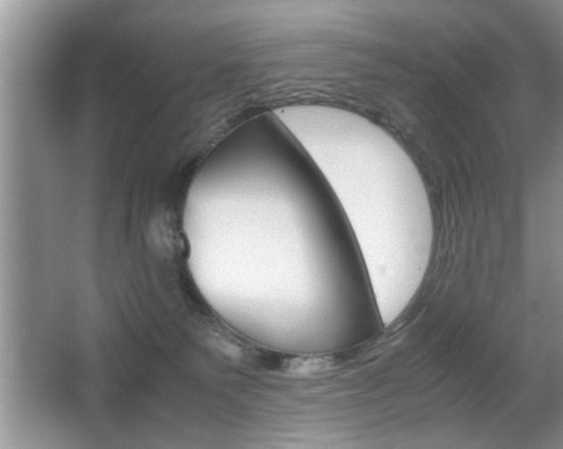 X0000067870135200604131024