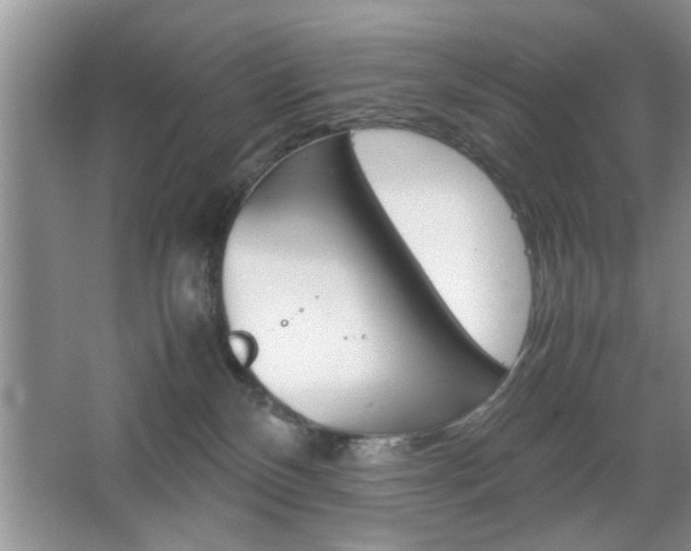 X0000067870136200604131024