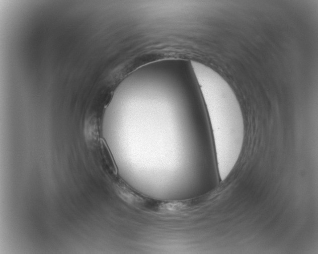 X0000067870137200604131024