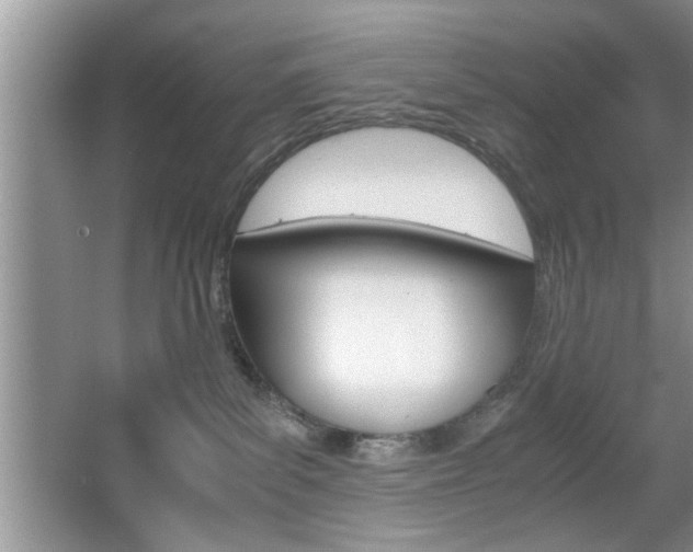 X0000067870139200604131024