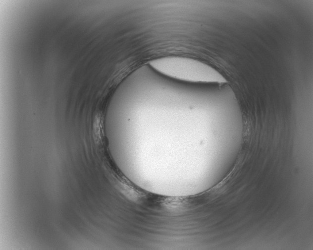 X0000067870142200604131024