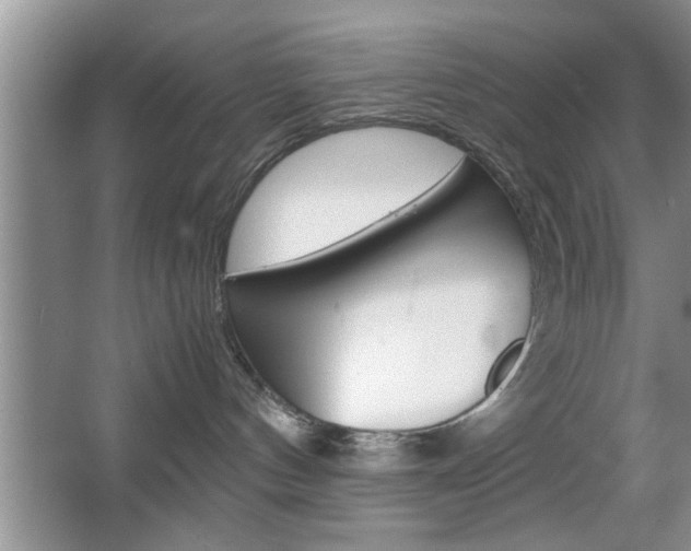 X0000067870144200604131024