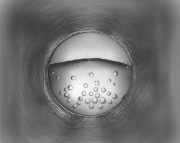 X0000067870145200604131023