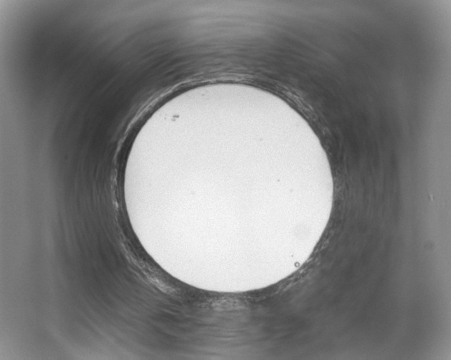 X0000067870146200604131023