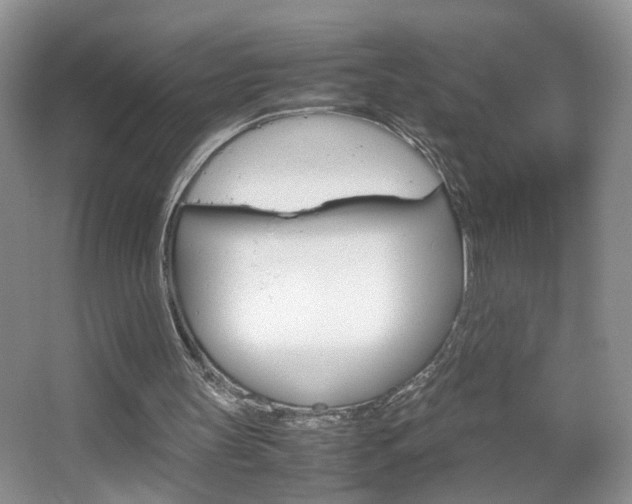 X0000067870147200604131023