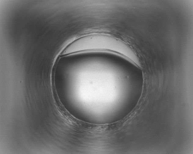 X0000067870148200604131023