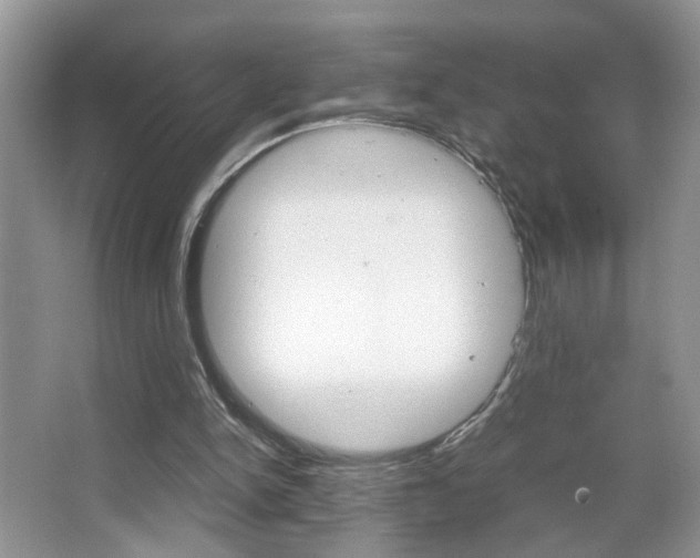 X0000067870150200604131024