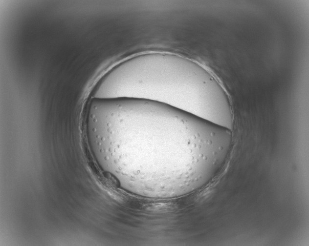 X0000067870151200604131024