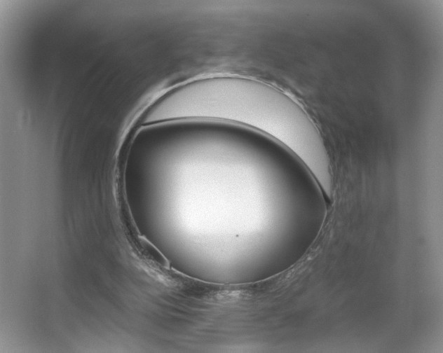 X0000067870152200604131024