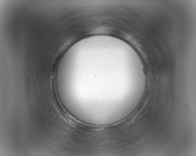 X0000067870153200604131024