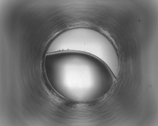 X0000067870154200604131024