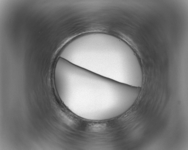 X0000067870155200604131024