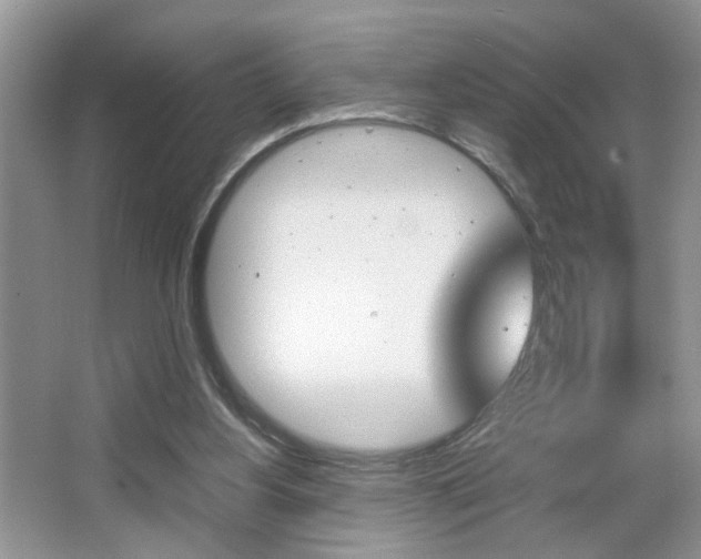 X0000067870156200604131024